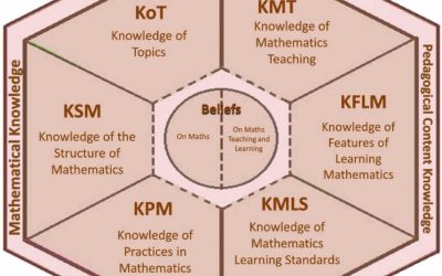 Mathematics teachers’ specialized knowledge mobilized through problem transformation