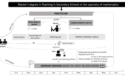 Analysis of Tutoring in the Professional Development of STEM Teachers